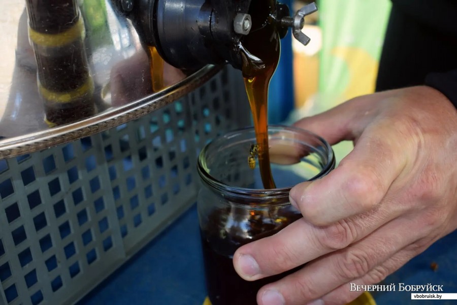 8.09.2023, Бобруйск, рынок «Западный». 