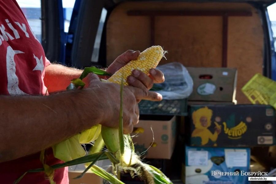8.09.2023, Бобруйск, рынок «Западный». 