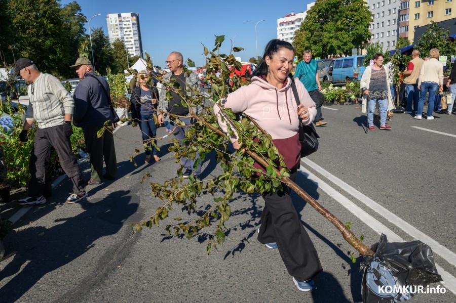 16.09.2023. Улица Горького. Осенняя сельскохозяйственная ярмарка