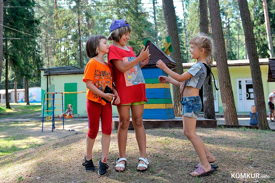 Правила получения путевок в детские лагеря изменятся с будущего года