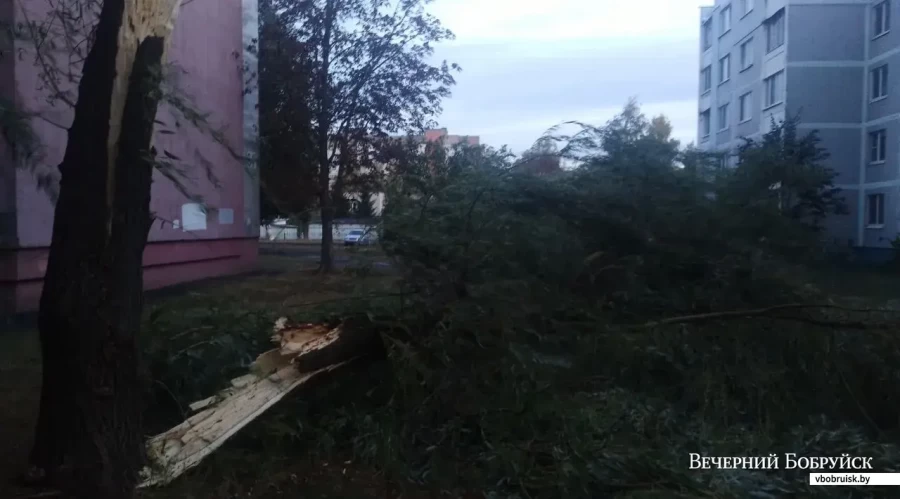 Более 600 населенных пунктов остались без света из-за непогоды в Беларуси