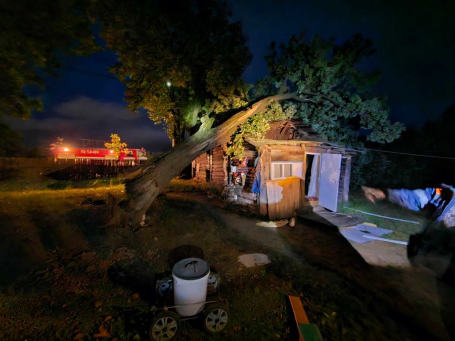 7 октября 2023 года. Последствия сильного ветра в Могилеве. на улице Алтайской дерево упало на пристройку жилого дома. Фото МЧС.