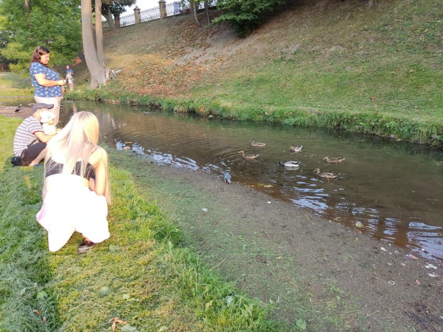 В парке имени Жилибера. Мамы с детьми приходят покормить уток на реке Городничанка. Гродно, 14.09.2023 г.