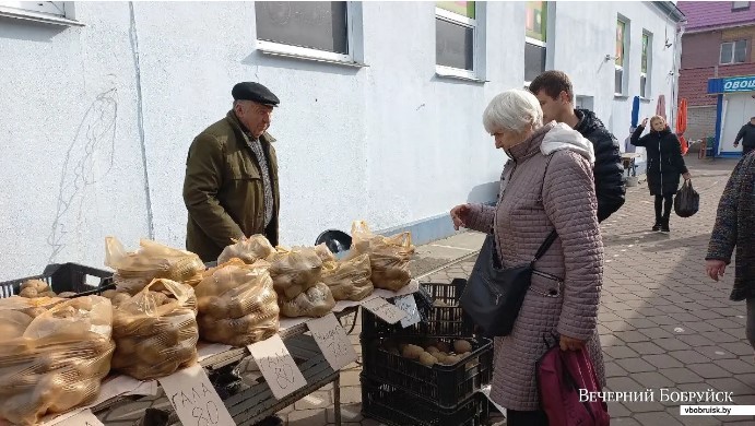 15.10.2023, Бобруйск, рынок на Красноармейской. Николай Сергеевич продает картофель по 70-80 копеек