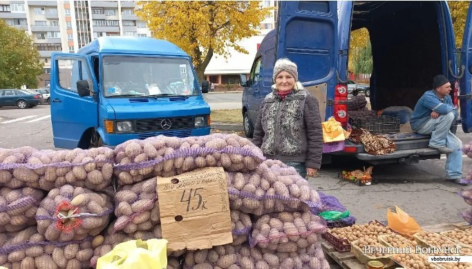 15.10.2023, Бобруйск, осенняя ярмарка на ул. М. Горького. У Натальи Дмитриевны сама низкая цена на картофель из тех, что мы видели на ярмарке. И доставка от одного мешка