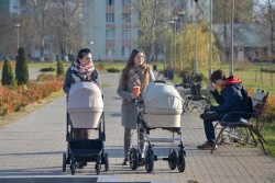 Какими будут прибавки к пенсиям и детским пособиям в Беларуси в ноябре – смотрим на цифры