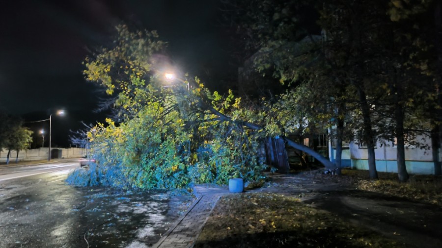 Штормовые выходные в Бобруйске. Метеорологи, коммунальщики, энергетики рассказали, как справлялись с непогодой