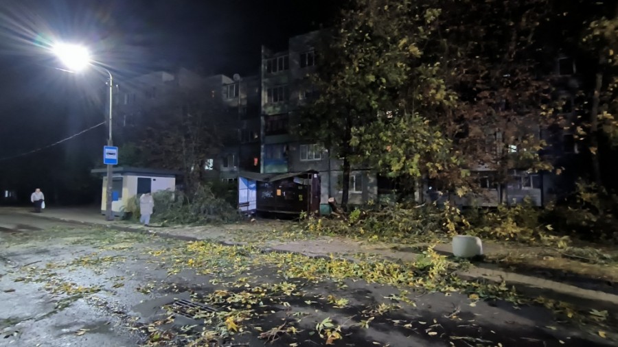 7 октября 2023 года. Последствия сильного ветра в Бобруйске. На улице Рокоссовского дерево упало на остановку общественного транспорта. Фото МЧС