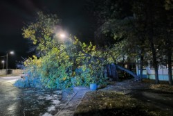 Штормовые выходные в Бобруйске. Метеорологи, коммунальщики, энергетики рассказали, как справлялись с непогодой