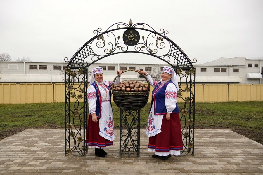 Бронзовую корзину с картошкой торжественно открыли в агрогородке Большие Бортники под Бобруйском