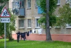 Бюджетные и дорогие квартиры Бобруйска в начале ноября-2023