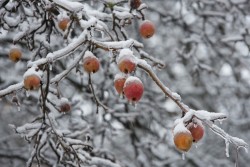 Дождь, мокрый снег, гололед... Прогноз погоды в Беларуси на 17-19 ноября