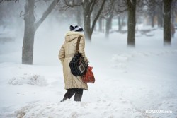 На 29 ноября в Беларуси объявлен оранжевый уровень опасности: сильный ветер и метель