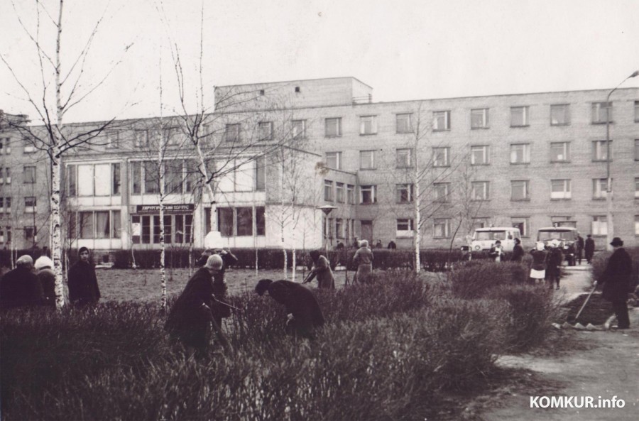 1970-е годы 20 века. Бобруйск. Благоустройство территории городской больницы СМП.