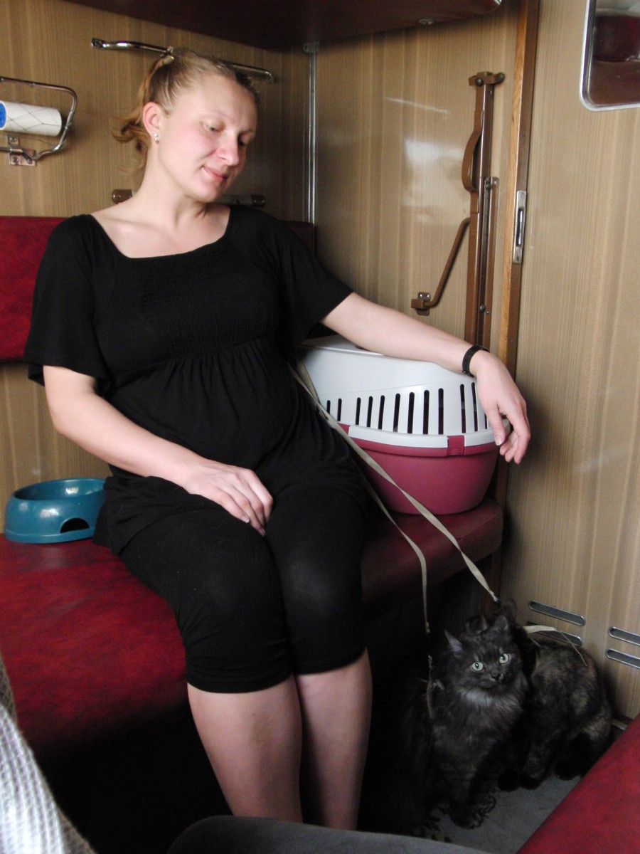 Мария Трухман, будучи на восьмом месяце беременности, путешествовала со своими кошками. Фото героини материала.