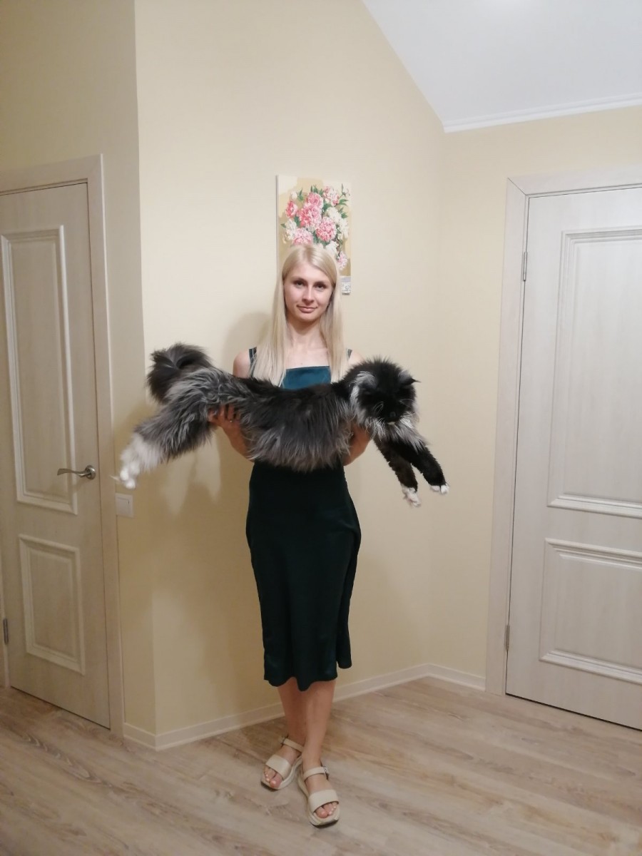 Бобруйчанка Ольга со своим котом по кличке Плут. Фото героини материала.