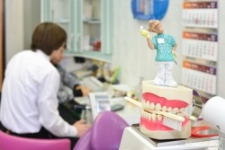 Минздрав Беларуси организовал горячую линию по вопросам цен на стоматологические услуги