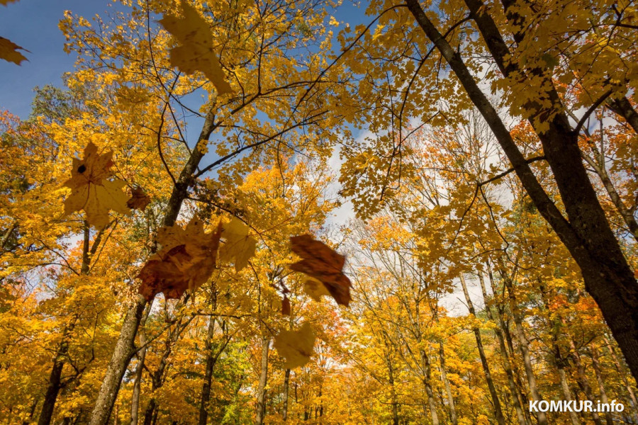 13 октября 2025 года. Октябрьская погода переменчива. Фото Александра ЧУГУЕВА. 