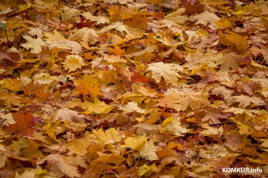 13 октября 2025 года. Октябрьская погода переменчива. Фото Александра ЧУГУЕВА. 