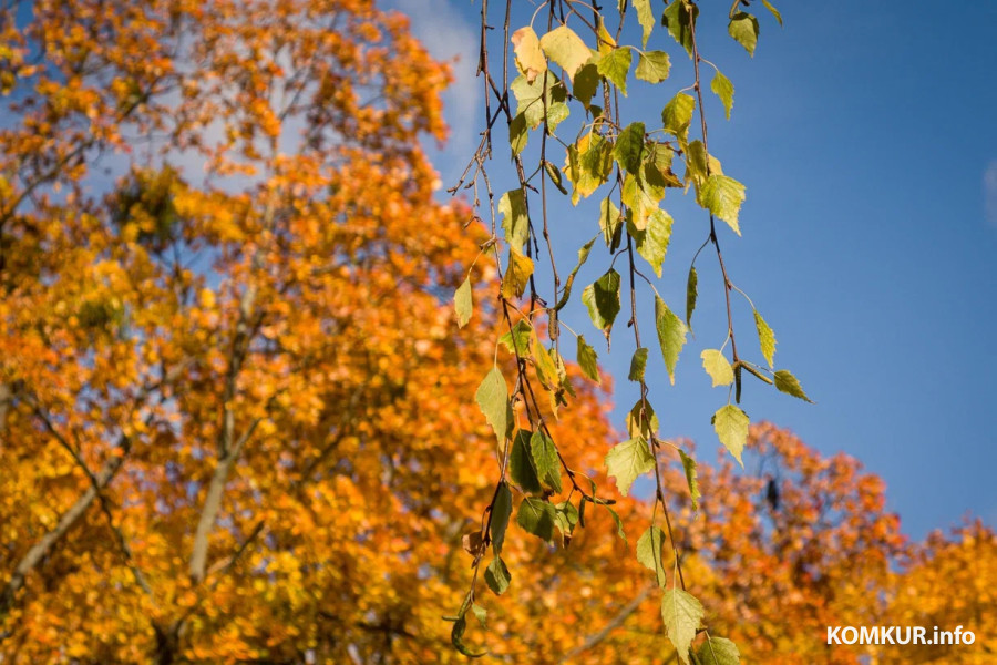 13 октября 2025 года. Октябрьская погода переменчива. Фото Александра ЧУГУЕВА. 