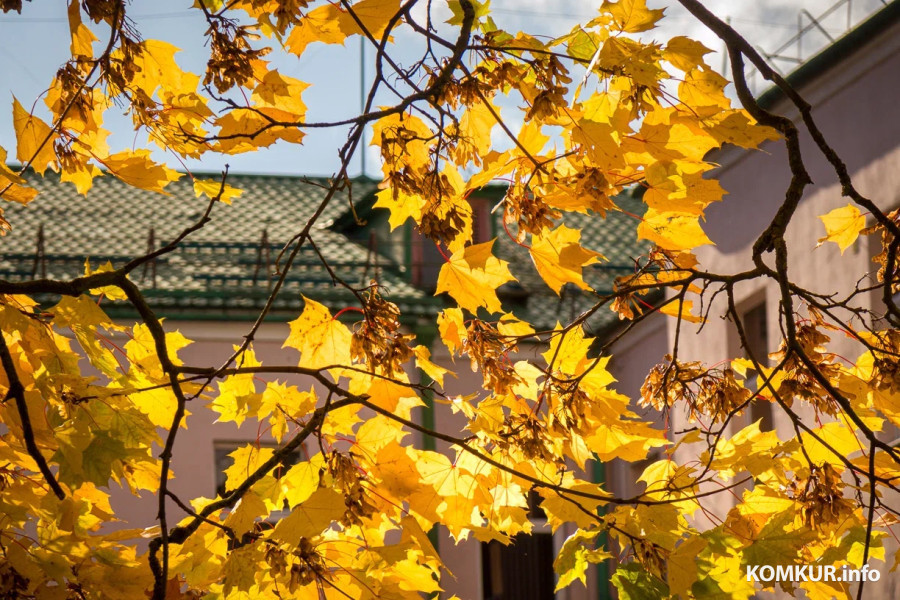 13 октября 2025 года. Октябрьская погода переменчива. Фото Александра ЧУГУЕВА. 