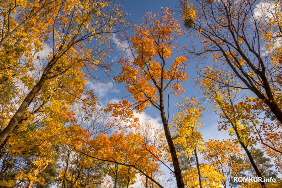 13 октября 2025 года. Октябрьская погода переменчива. Фото Александра ЧУГУЕВА. 