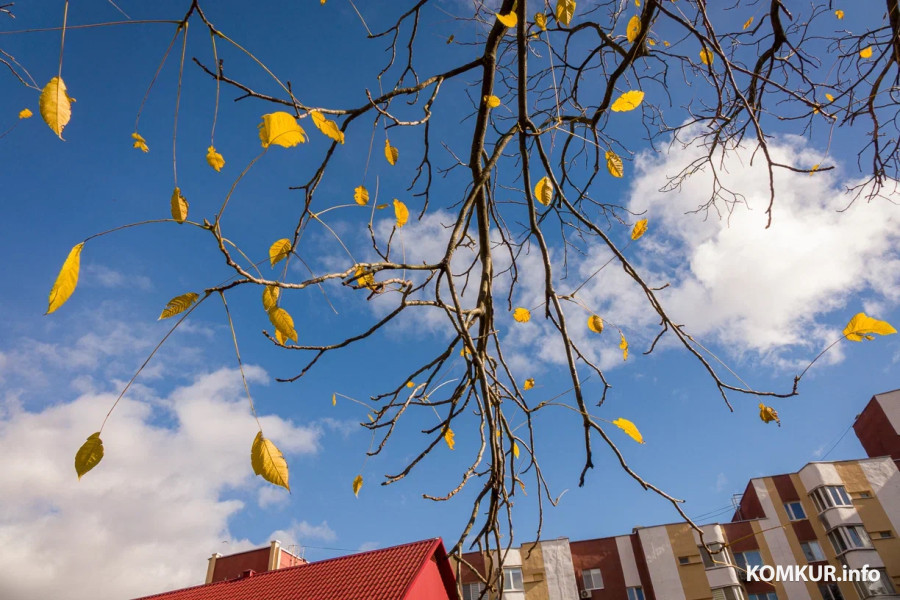 13 октября 2025 года. Октябрьская погода переменчива. Фото Александра ЧУГУЕВА. 