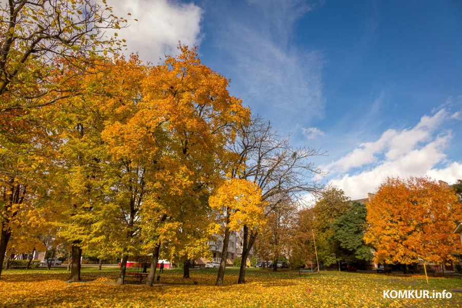 13 октября 2025 года. Октябрьская погода переменчива. Фото Александра ЧУГУЕВА. 