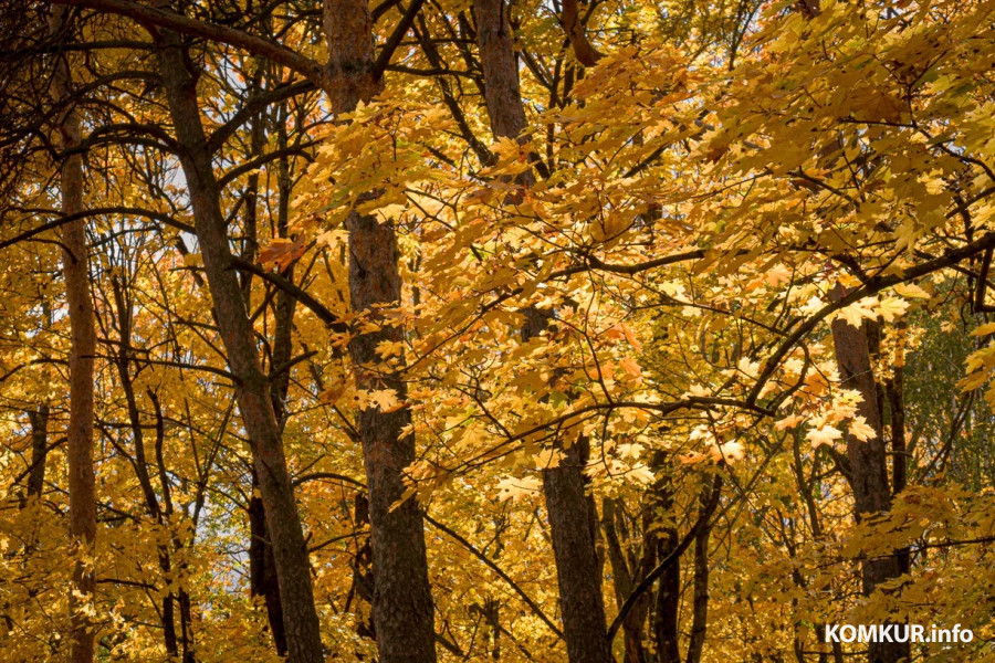 13 октября 2025 года. Октябрьская погода переменчива. Фото Александра ЧУГУЕВА. 