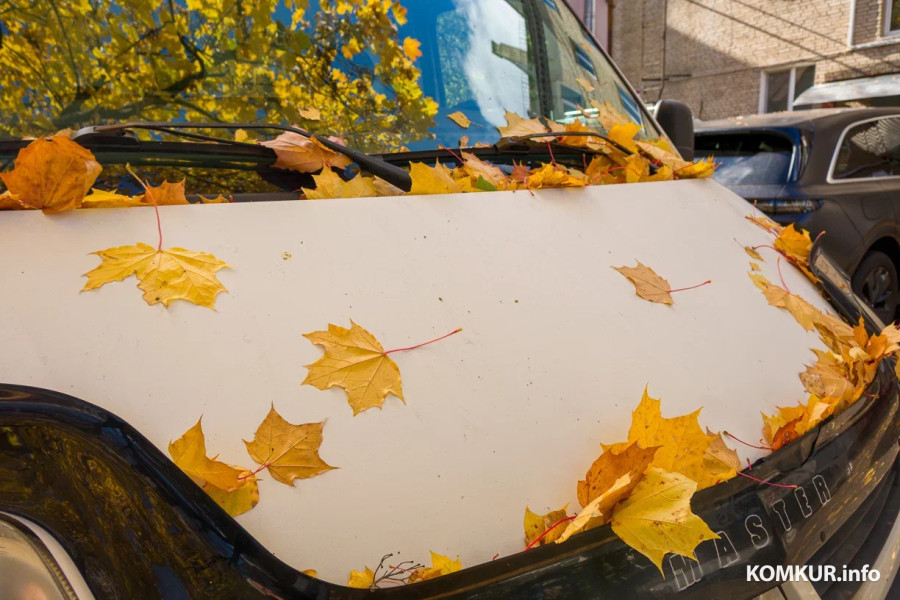 13 октября 2025 года. Октябрьская погода переменчива. Фото Александра ЧУГУЕВА. 