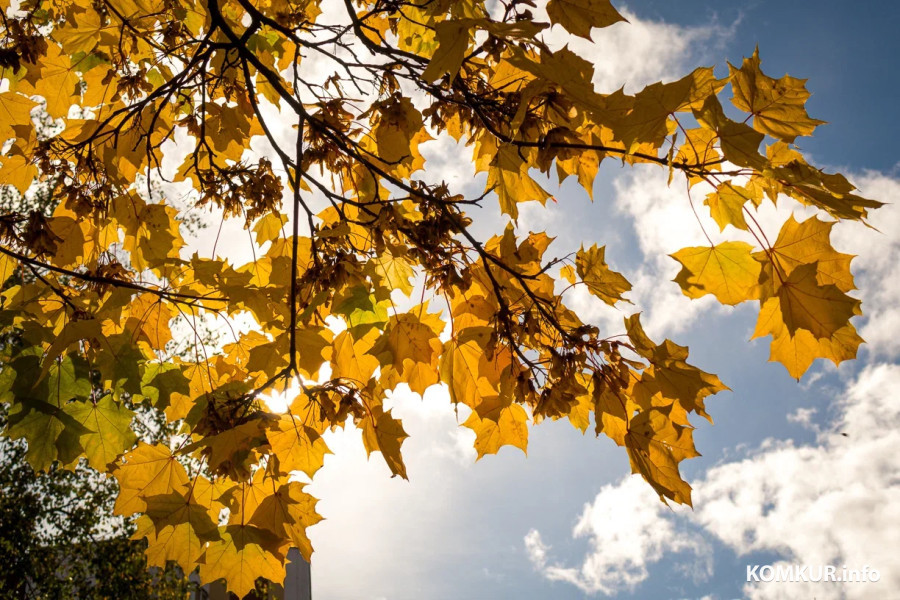 13 октября 2025 года. Октябрьская погода переменчива. Фото Александра ЧУГУЕВА. 