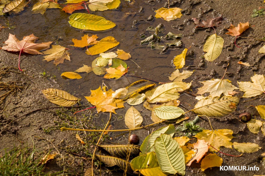13 октября 2025 года. Октябрьская погода переменчива. Фото Александра ЧУГУЕВА. 