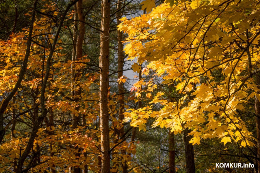 13 октября 2025 года. Октябрьская погода переменчива. Фото Александра ЧУГУЕВА. 