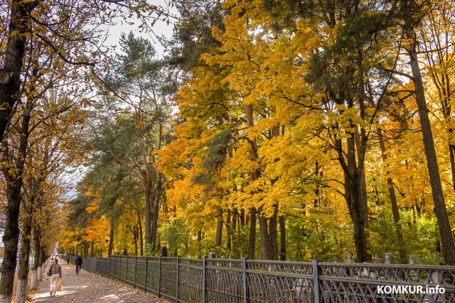 13 октября 2025 года. Октябрьская погода переменчива. Фото Александра ЧУГУЕВА. 