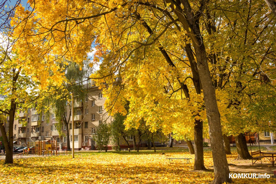 Осень в Бобруйске. Фоторепортаж
