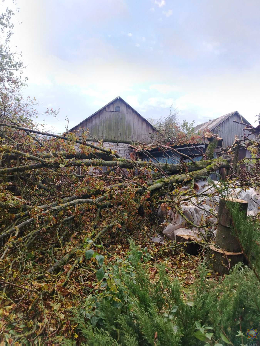 12 октября. Круглянский район. Последствия стихии. Фото Могилевского областного УМЧС.