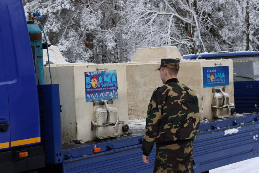 Зарыбление водоемов Могилевской области. Фото ТК Могилевприрода. 
