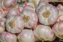 Как сохранить чеснок до следующего урожая?