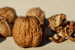 Скорлупу от грецких орехов не в мусор – а на огород