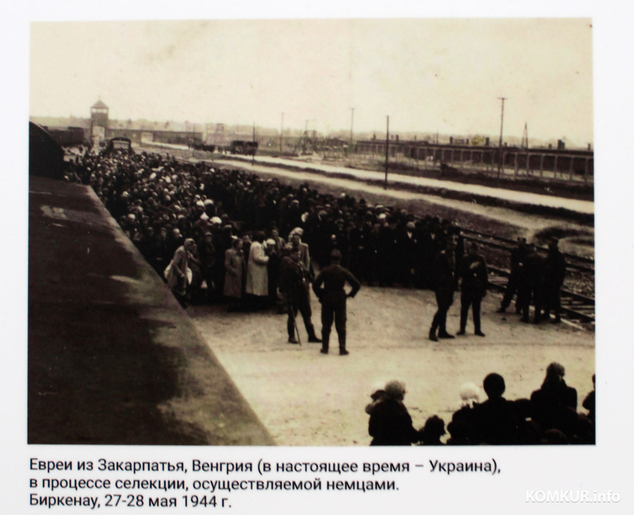 25 ноября 2025 года. Могилев. Еврейский просветительский центр. Открытие выставки «Как человек мог сотворить такое?». 