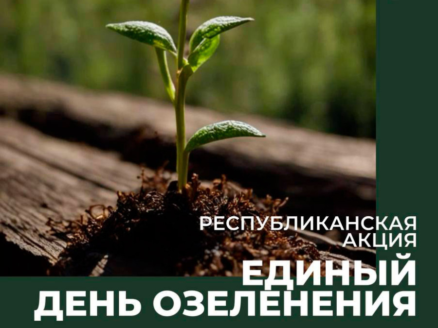 Взять с собой лопаты, топоры и ведра: в Бобруйске пройдет «Единый день озеленения» 11 октября
