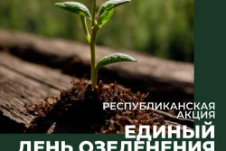 Взять с собой лопаты, топоры и ведра: в Бобруйске пройдет «Единый день озеленения» 11 октября