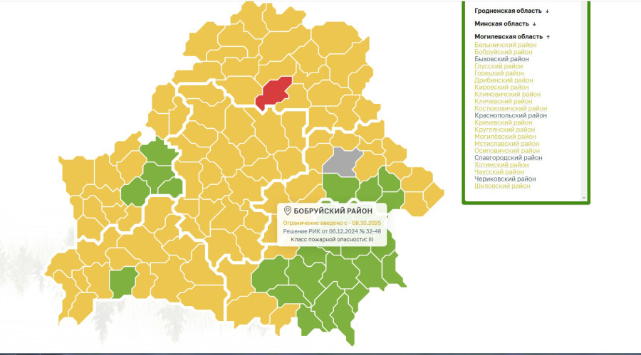 Можно и по грибы, но пешком: в Могилевской области нет запрета на посещение лесов
