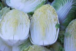 Скоро август – пора сеять пекинскую капусту