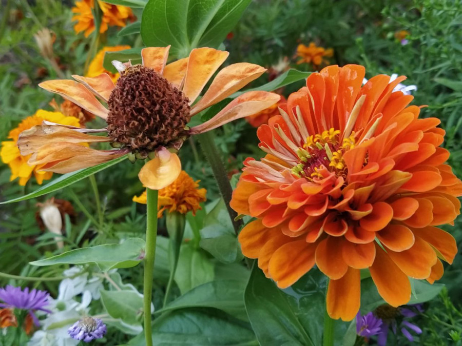 Лето с четверга обещает вернуться: последний день августа +28