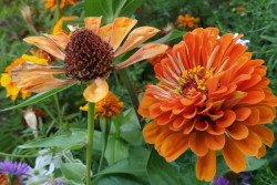 Лето с четверга обещает вернуться: последний день августа +28