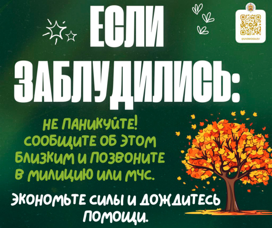 Советы спасателей: как не заблудиться в лесу, и что делать, если это все-таки произошло