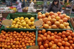 Самые дешевые апельсины предлагает «Грошык», а яблоки – Минский рынок: изучили стоимость фруктов в Могилеве