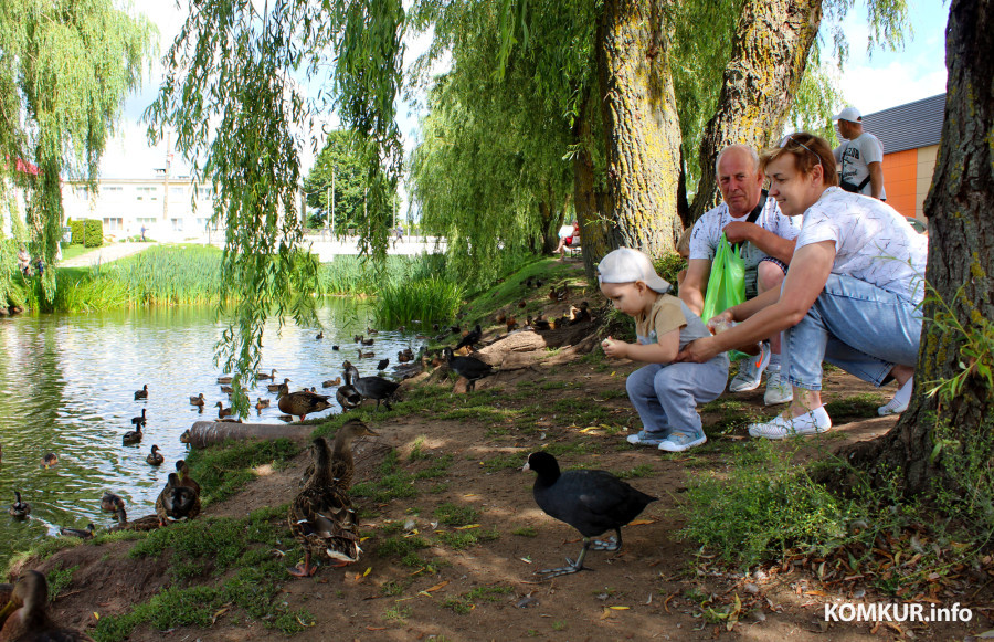 Август 2025 года. Город Глубокое. Витебская область. Цент города, одно из озер. 