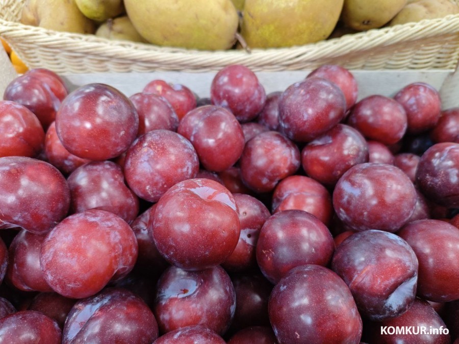 4 февраля 2025 года. Могилев. Магазин «Квартал» по улице Островского.